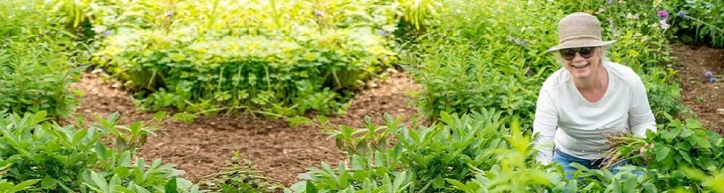 Image of women working in flower garde